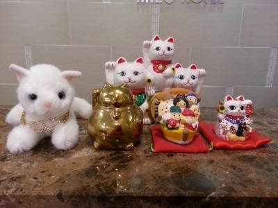 Guest house Mizo 2*
